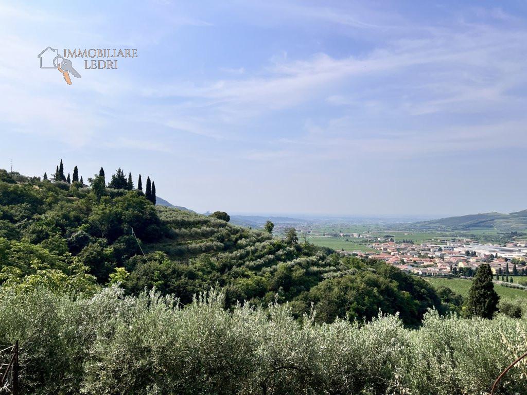 10523m² Land in Tregnago, Italy No. 147432