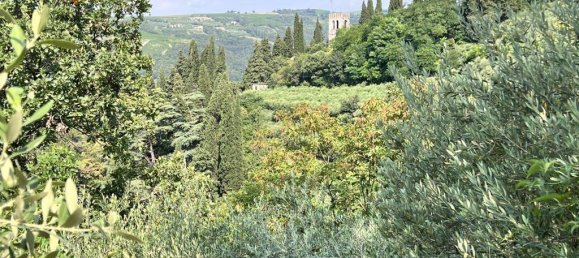 10523m² Land in Tregnago, Italy No. 147432 11