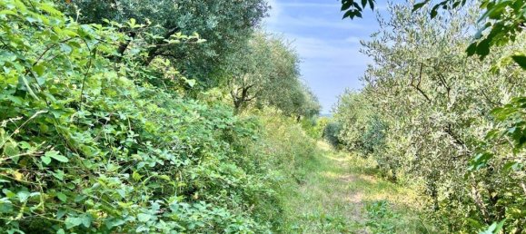 10523m² Land in Tregnago, Italy No. 147432 9