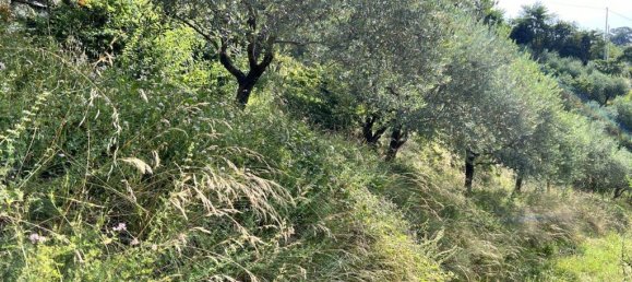 10523m² Land in Tregnago, Italy No. 147432 25