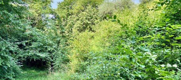 10523m² Land in Tregnago, Italy No. 147432 2