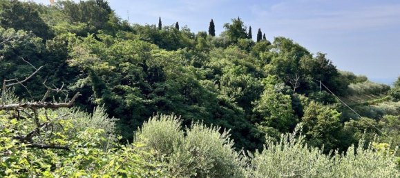 10523m² Land in Tregnago, Italy No. 147432 5