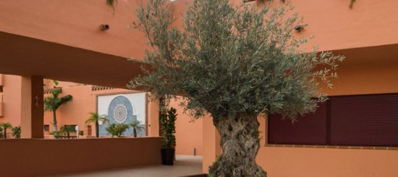 2 bedrooms Apartment in Estepona, Spain No. 141483 18