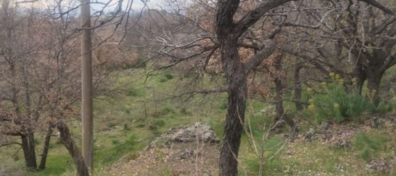  قطعة أرض في Santa Maria di Licodia, Italy 15000متر مربع رقم 123710 2