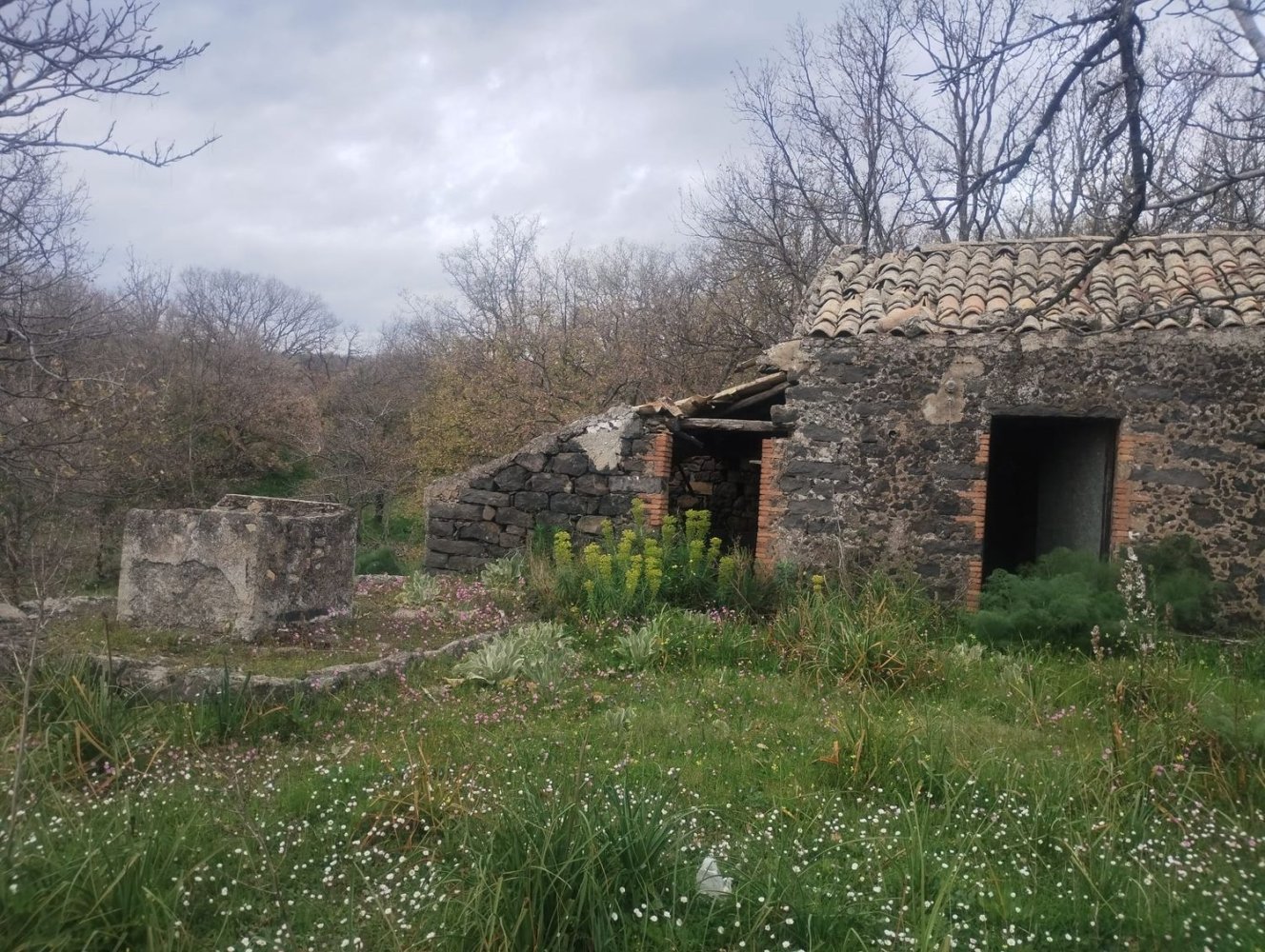  قطعة أرض في Santa Maria di Licodia, Italy 15000متر مربع رقم 123710