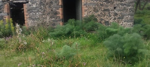  قطعة أرض في Santa Maria di Licodia, Italy 15000متر مربع رقم 123710 3