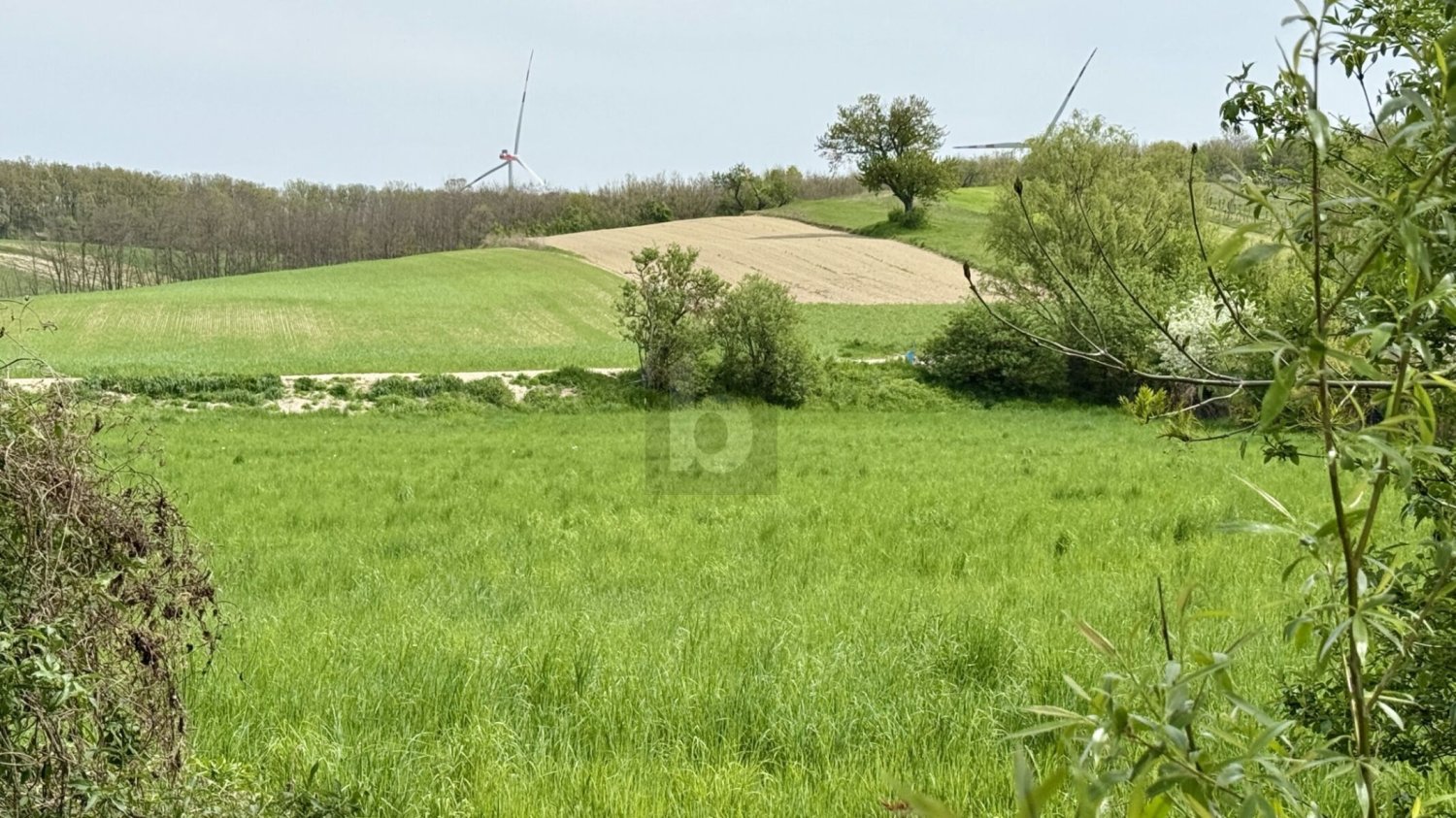 Grundstück in Sigleß, Austria 1770m², Nr. 255666