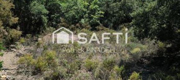 Grundstück in Pyrenees-Orientales, France 22780m², Nr. 279557 3