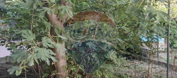 6 Schlafzimmer Haus in Sant'Ilario d'Enza, Italy, Nr. 56240 11