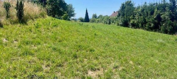 Земельный участок в Штайнц, Австрия № 148271 3