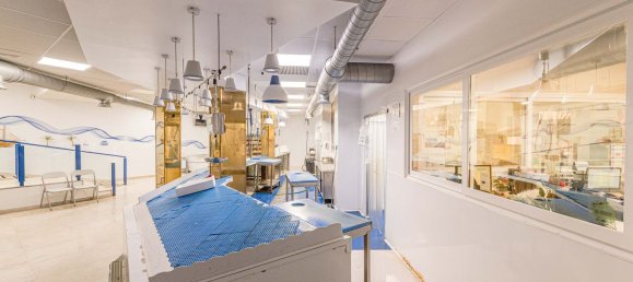 Gewerbliche Immobilie in Mostoles, Spain 376m², Nr. 89237 38