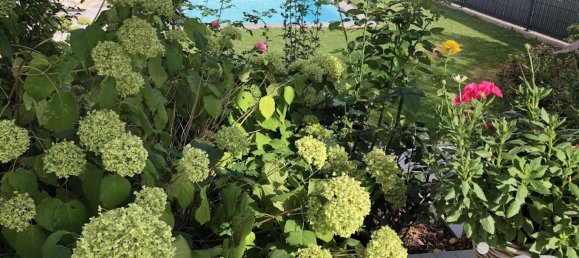 Casa T3 em Grundviller, France N.º 225450 6