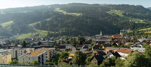 Terreno de 13 dormitorios en Liezen, Austria No. 143154 22