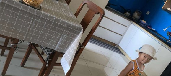22 Schlafzimmer Wohnung in Tan Phu, Vietnam, Nr. 147 2