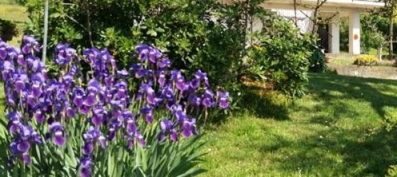 3 chambres Maison à Lozzo Atestino, Italy No. 65481 20