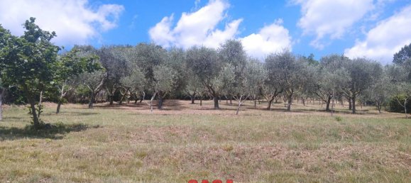 3 chambres Maison à Lozzo Atestino, Italy No. 65481 4