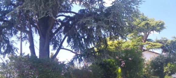 3 chambres Maison à Lozzo Atestino, Italy No. 65481 11