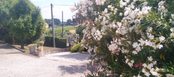 3 chambres Maison à Lozzo Atestino, Italy No. 65481 18