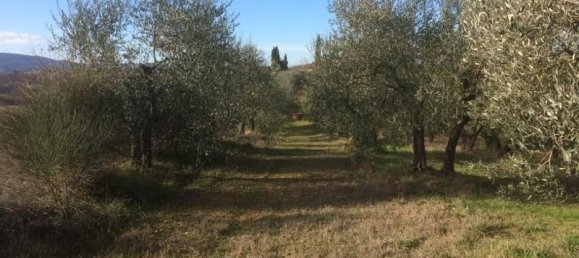 6000m² Land in Colle di Val d'Elsa, Italy No. 183118 2