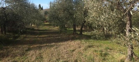 6000m² Land in Colle di Val d'Elsa, Italy No. 183118 3