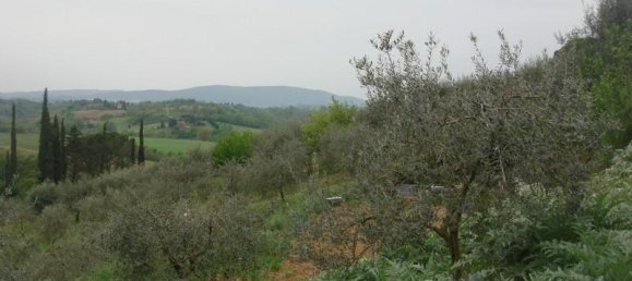 6000m² Land in Colle di Val d'Elsa, Italy No. 183118 15