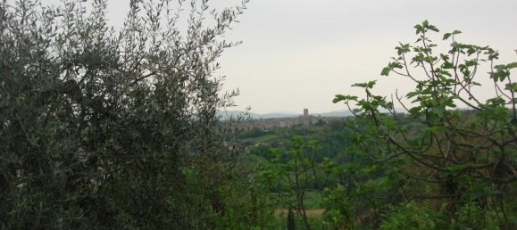 6000m² Land in Colle di Val d'Elsa, Italy No. 183118 16