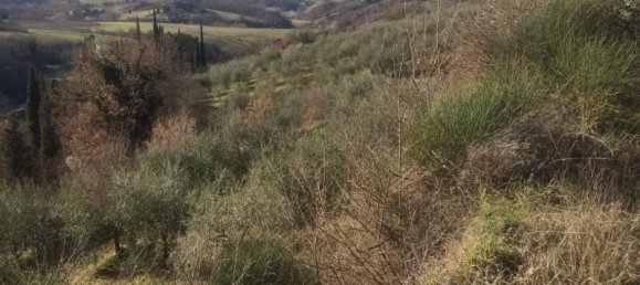 6000m² Land in Colle di Val d'Elsa, Italy No. 183118 4