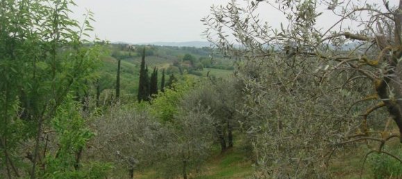 6000m² Land in Colle di Val d'Elsa, Italy No. 183118 13