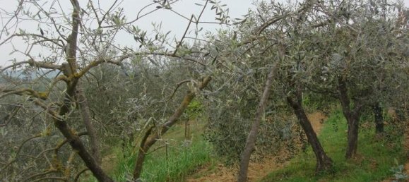 6000m² Land in Colle di Val d'Elsa, Italy No. 183118 8