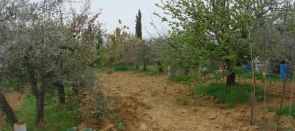 6000m² Land in Colle di Val d'Elsa, Italy No. 183118 14