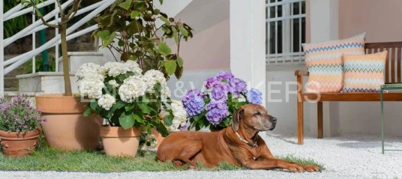 8 Schlafzimmer Villa in Rapallo, Italy, Nr. 313169 10