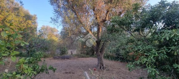 4 rooms Villa in Francavilla Fontana, Italy No. 18519 28