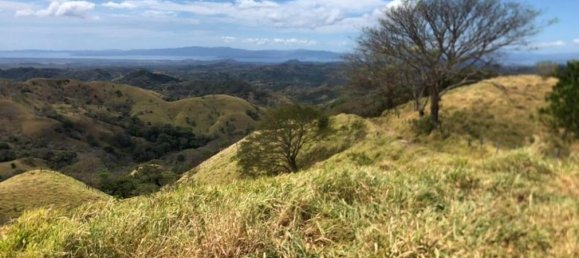 Terra em Puntarenas, Costa Rica N.º 1711 4