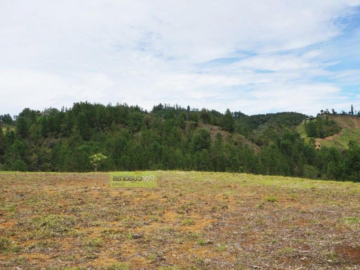  Land in Antioquia, Colombia No. 629