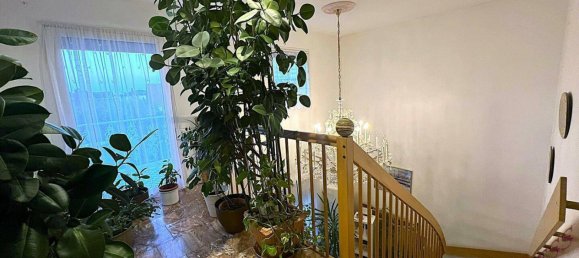 9غرفة منزل في Deutsch-Wagram, Austria رقم 149702 11