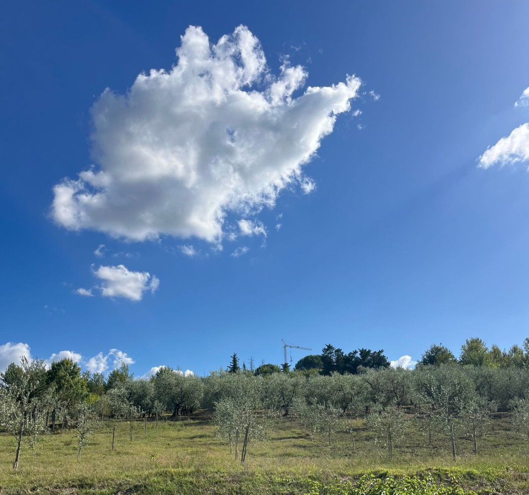 Terrain à Vinci, Italy No. 334764