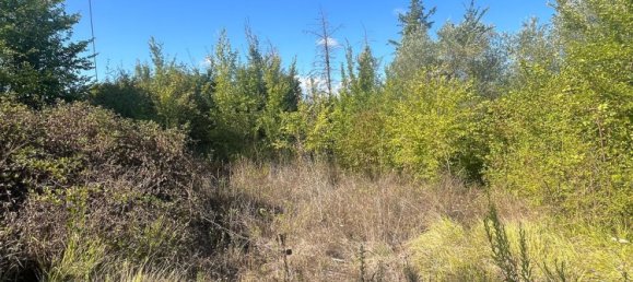 Grundstück in Vinci, Italy, Nr. 334764 12