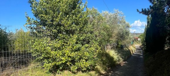 Grundstück in Vinci, Italy, Nr. 334764 5