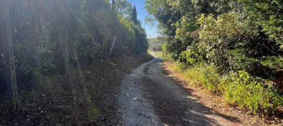 Grundstück in Vinci, Italy, Nr. 334764 4