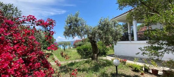 3 Schlafzimmer Villa in Chalkidiki, Greece, Nr. 1996 23