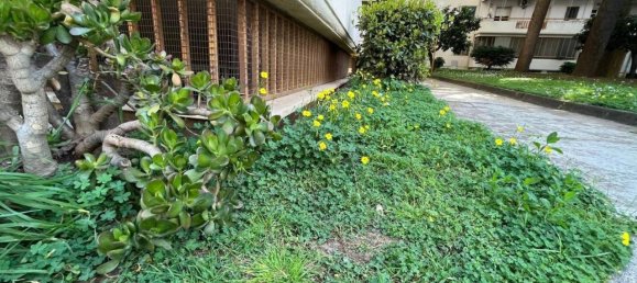 4-salle Appartement à San Nicola la Strada, Italy No. 21108 40