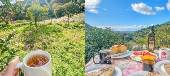 Дом с 3 спальнями в Эстепона, Испания № 125371 7