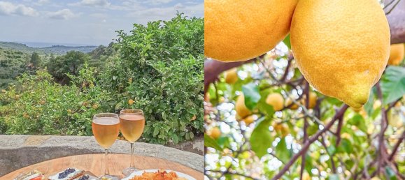 Дом с 3 спальнями в Эстепона, Испания № 125371 9