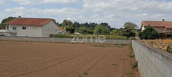 Terreno em Macinhata do Vouga, Portugal 1200 m² N.º 82511 2