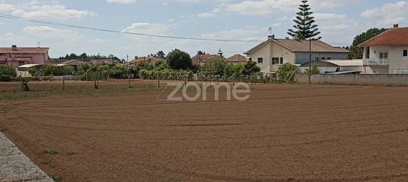Terreno em Macinhata do Vouga, Portugal 1200 m² N.º 82511 5