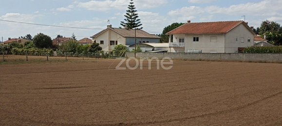 Terreno em Macinhata do Vouga, Portugal 1200 m² N.º 82511 7