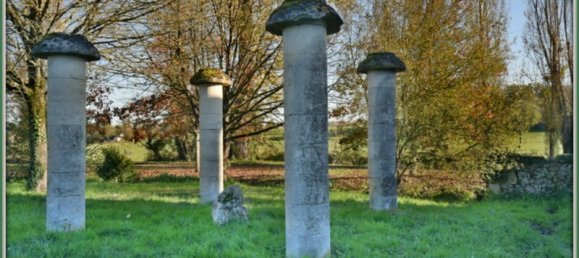 7 bedrooms House in Bergerac, France No. 189614 9