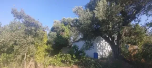 8018m² Land in Huesca, Spain No. 191543 6