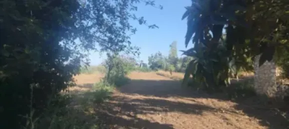 8018m² Land in Huesca, Spain No. 191543 8