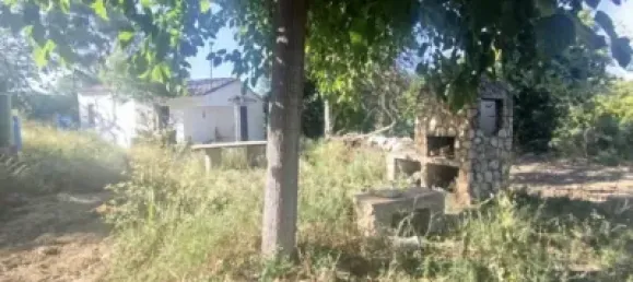 8018m² Land in Huesca, Spain No. 191543 9